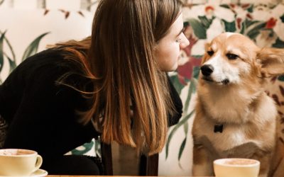 Boom “pet friendly” está rediseñando proyectos inmobiliarios